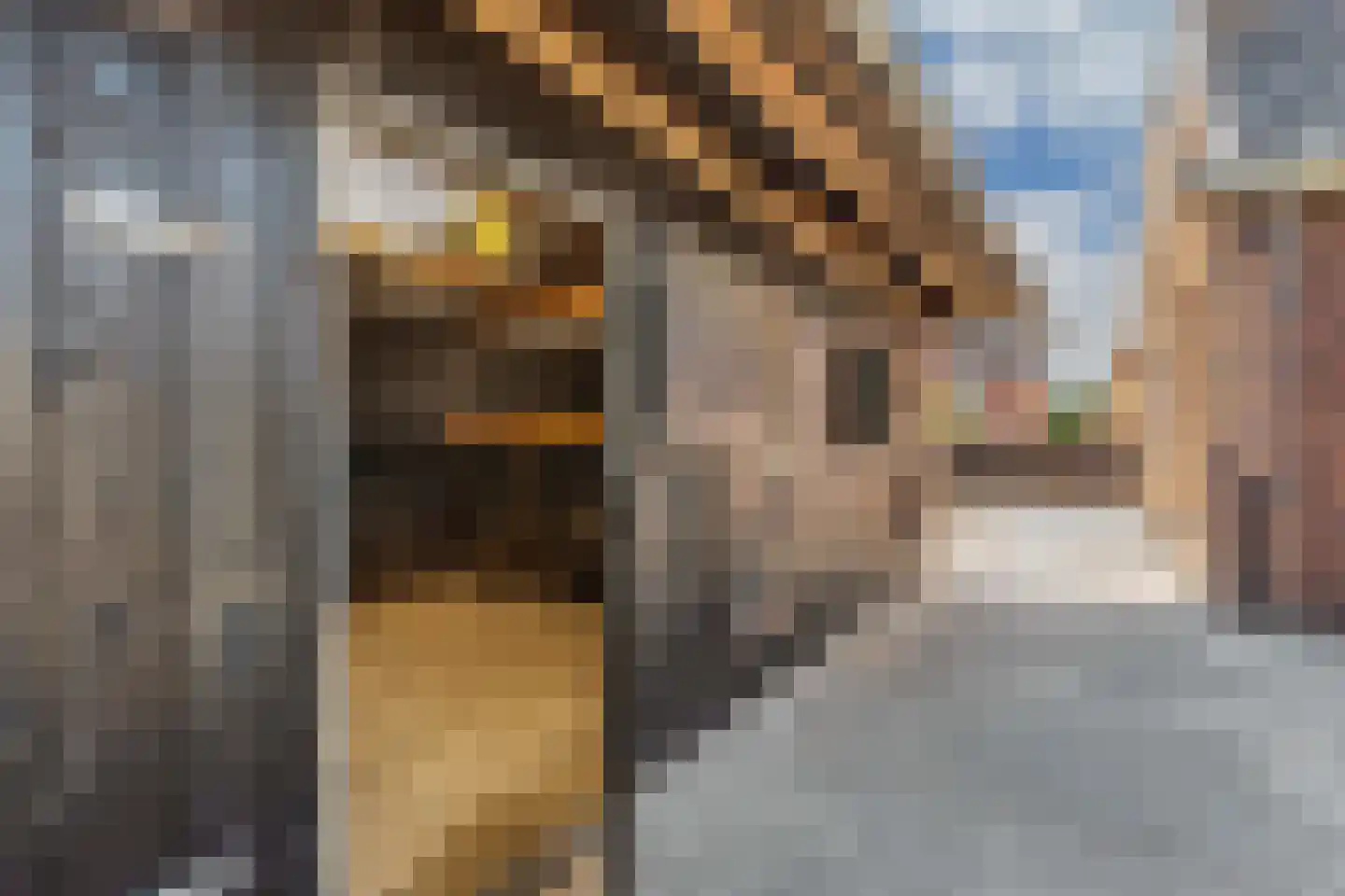 Hearewei 2 Tzummarum thumbnail 59