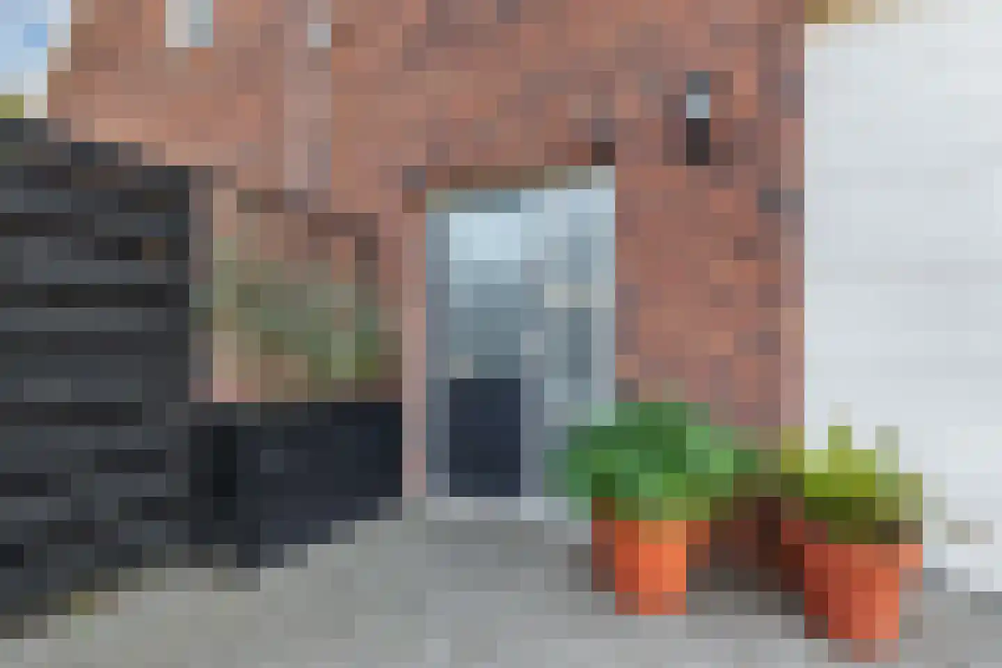 Hearewei 2 Tzummarum thumbnail 6