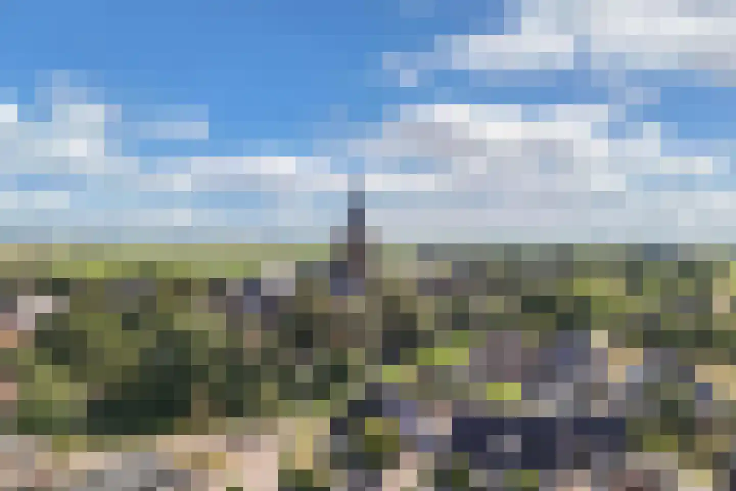Hearewei 2 Tzummarum thumbnail 66