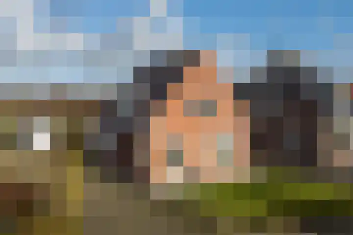 Hearewei 20 in Damwâld