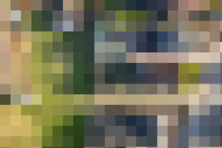 Hearewei 20 Damwâld thumbnail 10