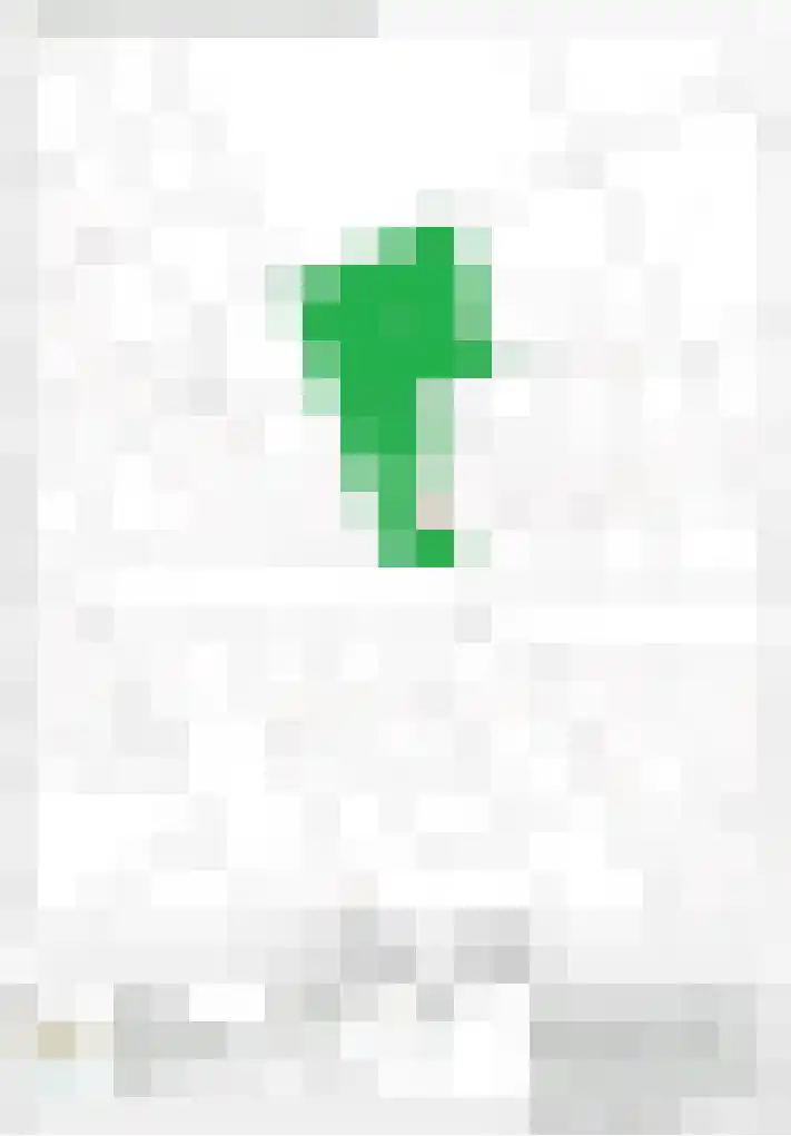 Hearewei 20 Damwâld thumbnail 11