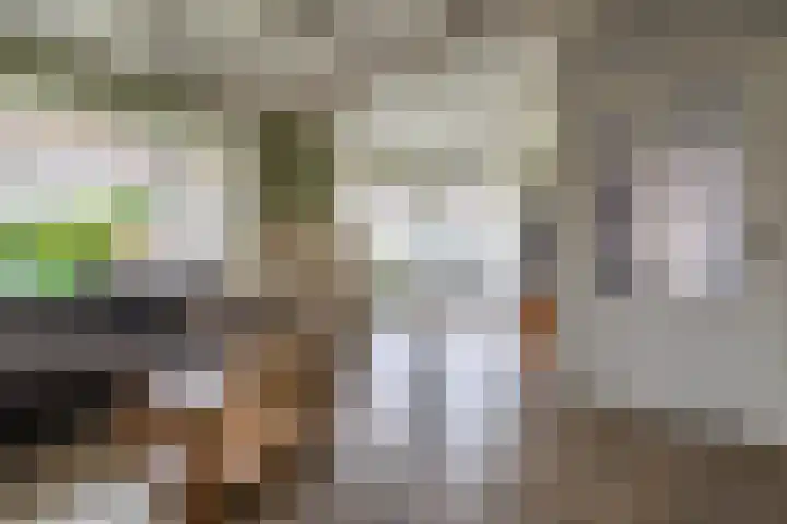 Hearewei 20 Damwâld thumbnail 12