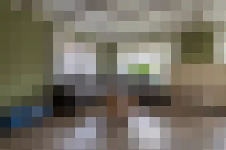 Hearewei 20 Damwâld thumbnail 14