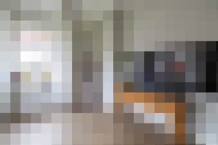 Hearewei 20 Damwâld thumbnail 16