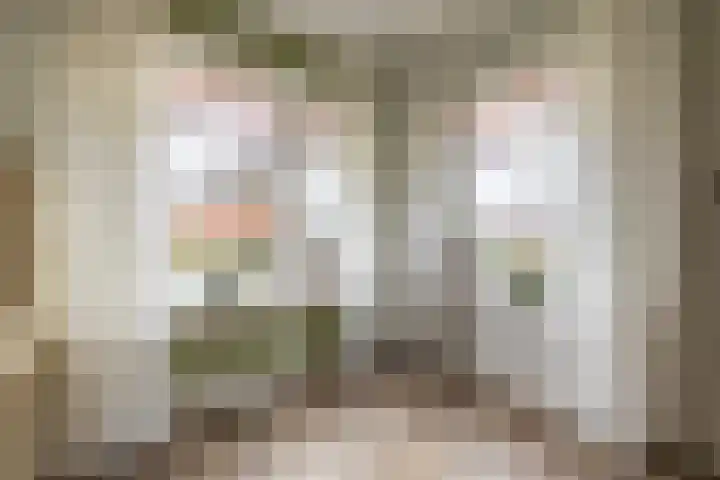 Hearewei 20 Damwâld thumbnail 17