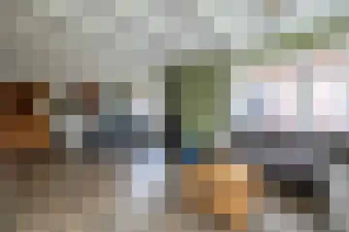 Hearewei 20 Damwâld thumbnail 18