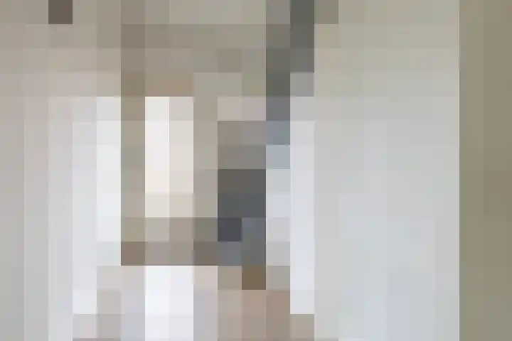 Hearewei 20 Damwâld thumbnail 23