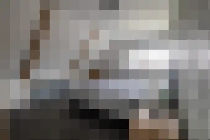 Hearewei 20 Damwâld thumbnail 25