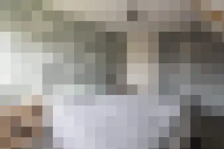 Hearewei 20 Damwâld thumbnail 26
