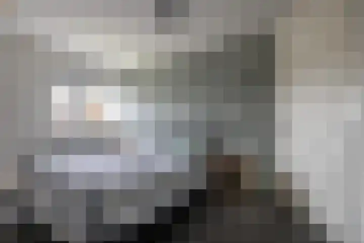 Hearewei 20 Damwâld thumbnail 27