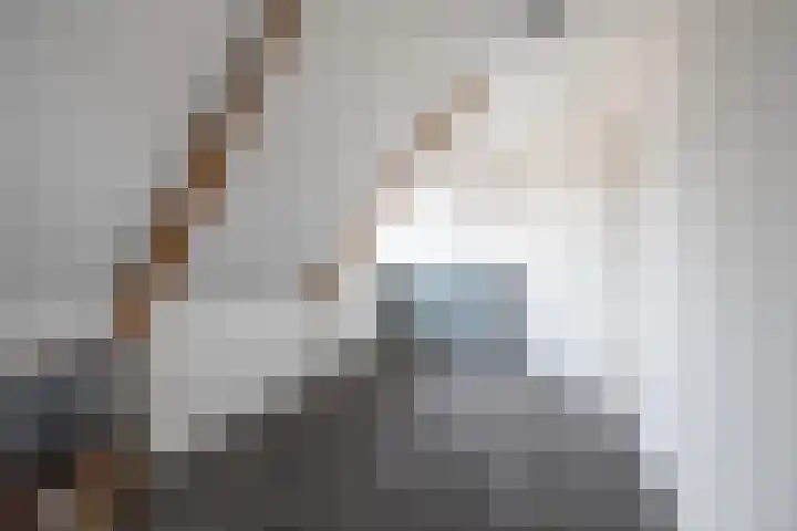 Hearewei 20 Damwâld thumbnail 30