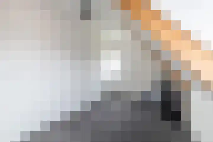 Hearewei 20 Damwâld thumbnail 31