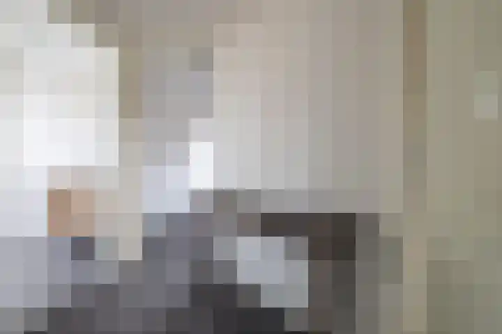 Hearewei 20 Damwâld thumbnail 32