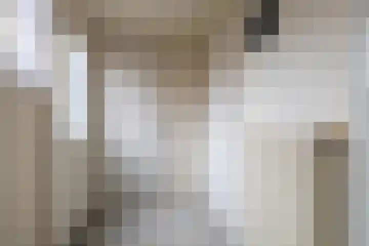 Hearewei 20 Damwâld thumbnail 39