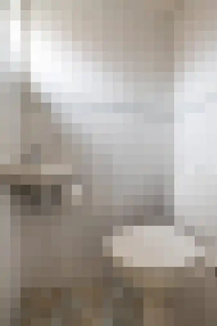 Hearewei 20 Damwâld thumbnail 40