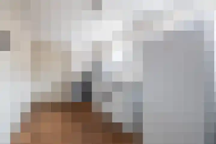 Hearewei 20 Damwâld thumbnail 41
