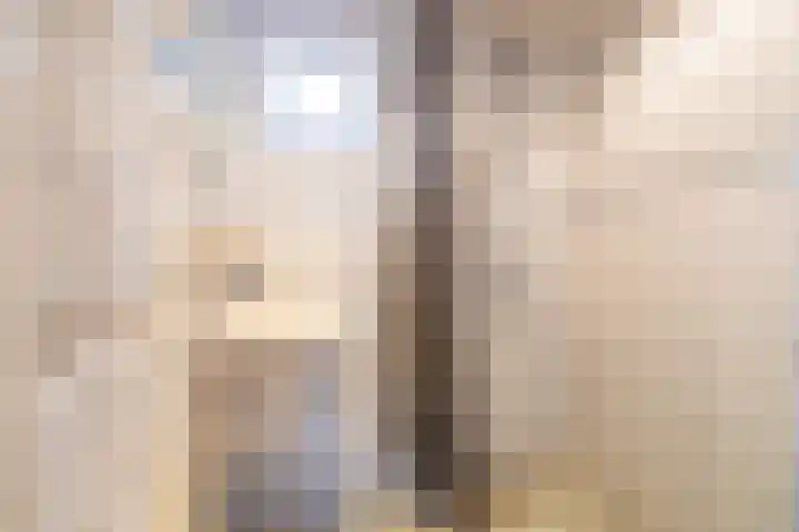 Hearewei 20 Damwâld thumbnail 43