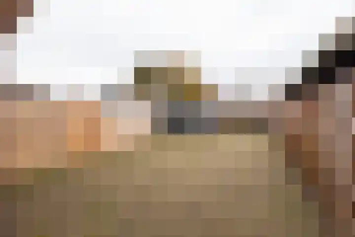 Hearewei 20 Damwâld thumbnail 45