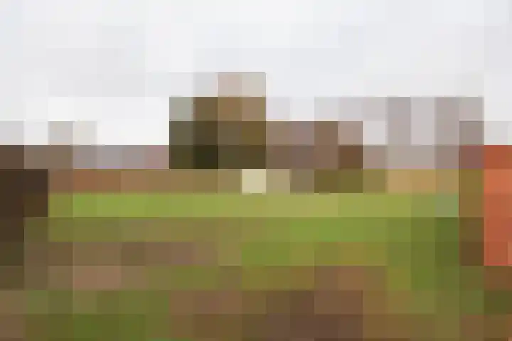 Hearewei 20 Damwâld thumbnail 48
