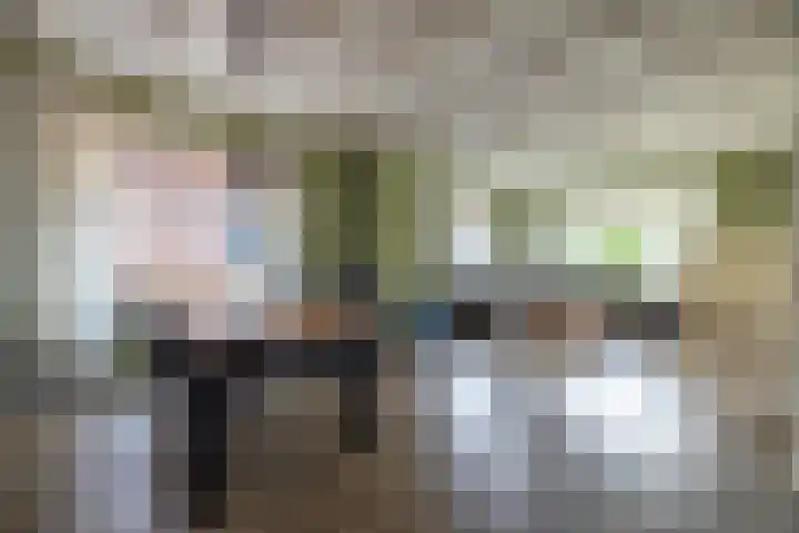 Hearewei 20 Damwâld thumbnail 5