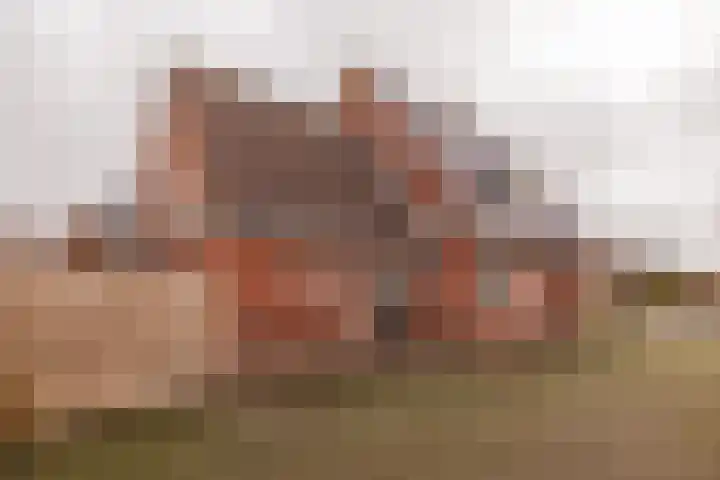 Hearewei 20 Damwâld thumbnail 52