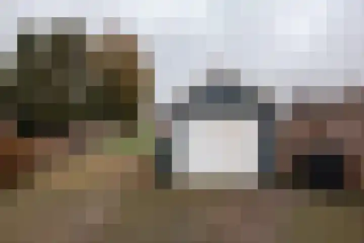 Hearewei 20 Damwâld thumbnail 53