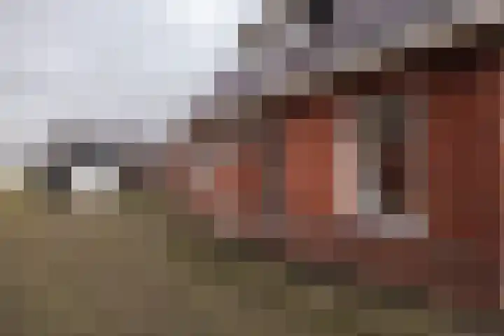 Hearewei 20 Damwâld thumbnail 54
