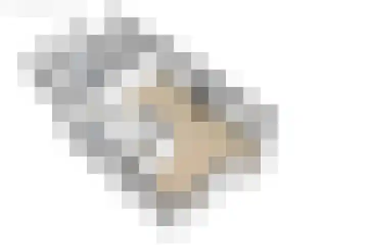 Hearewei 20 Damwâld thumbnail 58