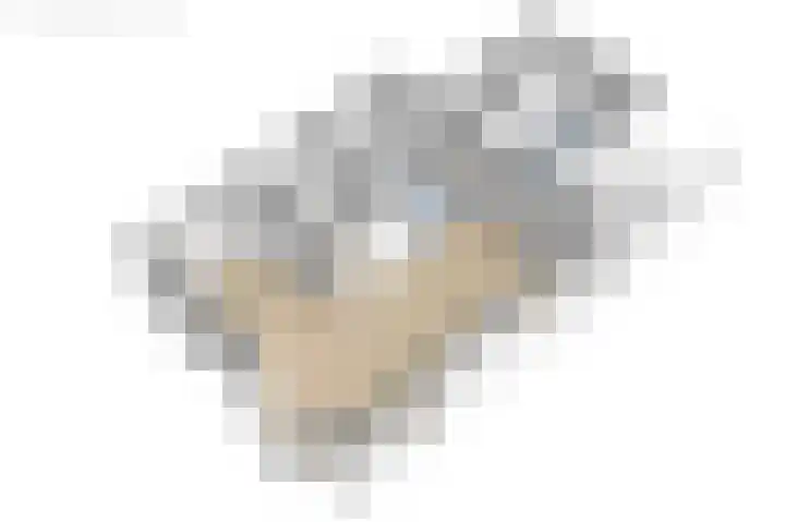 Hearewei 20 Damwâld thumbnail 59