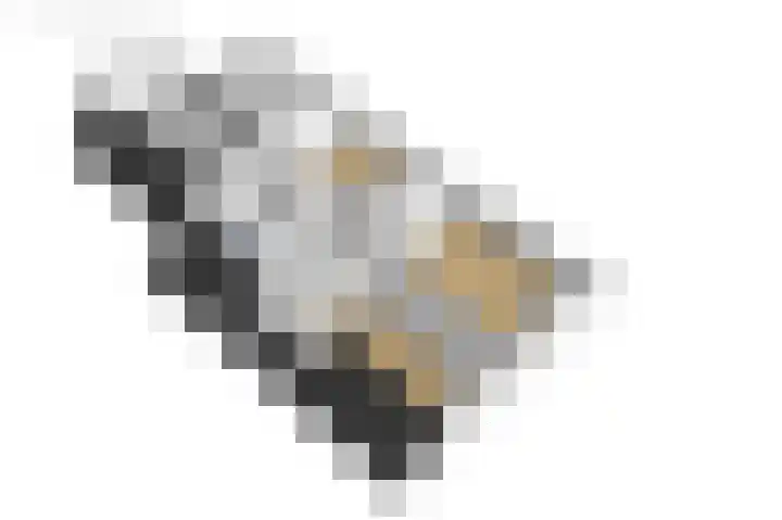 Hearewei 20 Damwâld thumbnail 65
