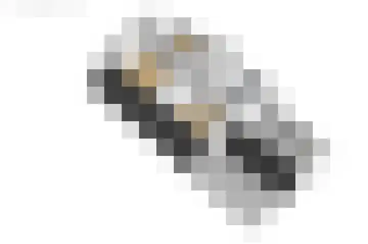 Hearewei 20 Damwâld thumbnail 67