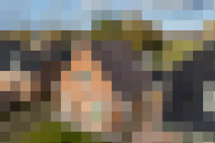 Hearewei 20 Damwâld thumbnail 8