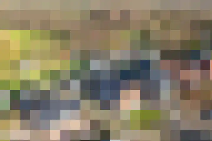 Hearewei 20 Damwâld thumbnail 9