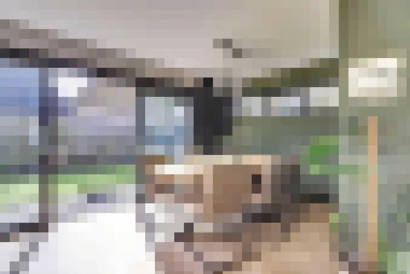 Hearewei 26 Tzummarum thumbnail 11