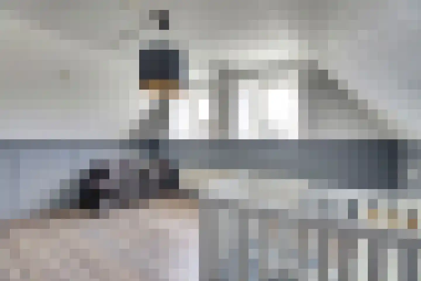 Hearewei 26 Tzummarum thumbnail 21