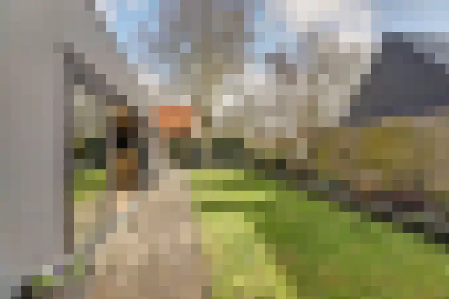 Hearewei 26 Tzummarum thumbnail 22