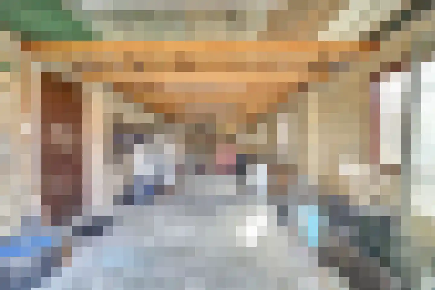 Hearewei 26 Tzummarum thumbnail 27