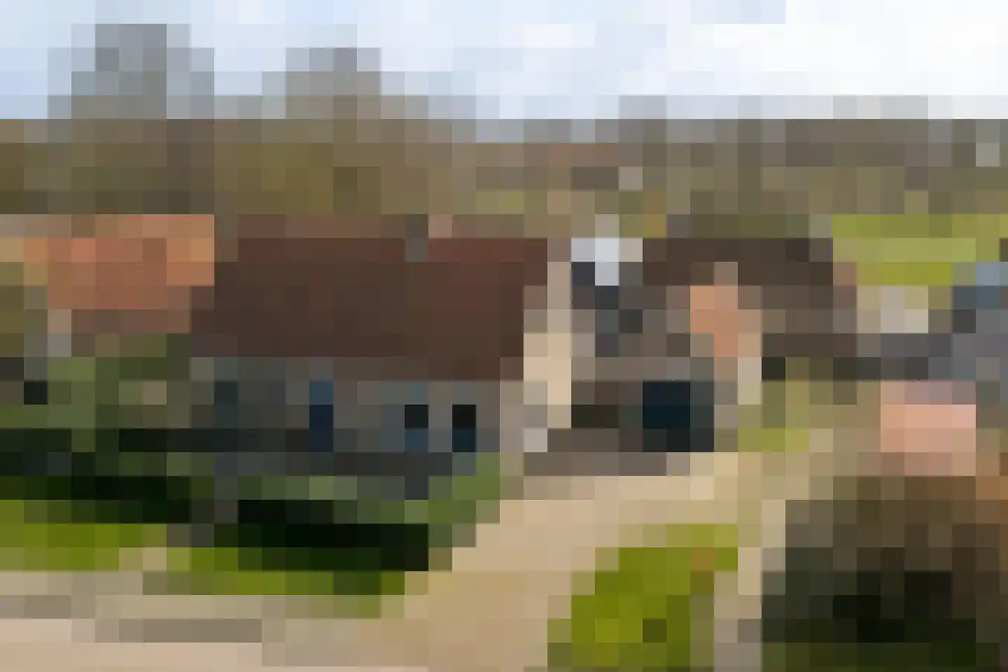 Hearewei 26 Tzummarum thumbnail 28