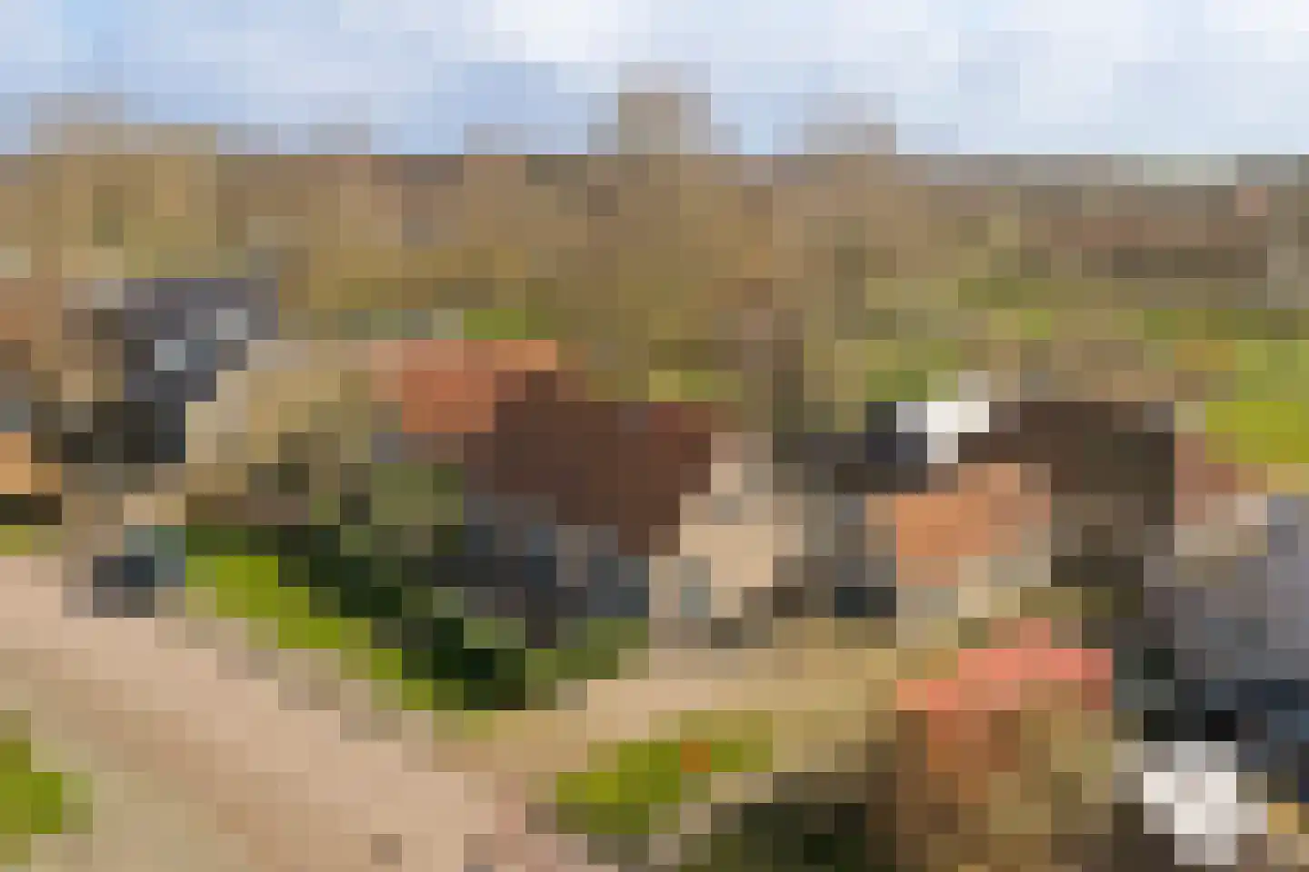 Hearewei 26 Tzummarum thumbnail 29