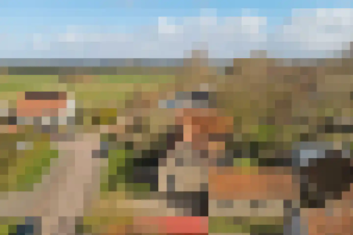 Hearewei 26 Tzummarum thumbnail 30
