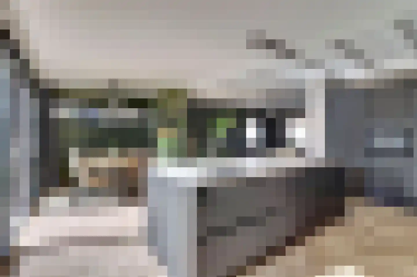 Hearewei 26 Tzummarum thumbnail 4