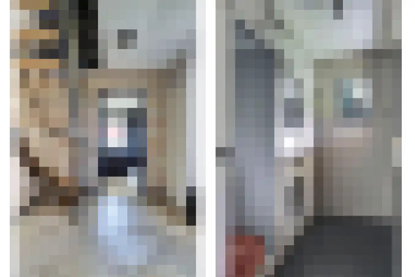 Hearewei 26 Tzummarum thumbnail 6