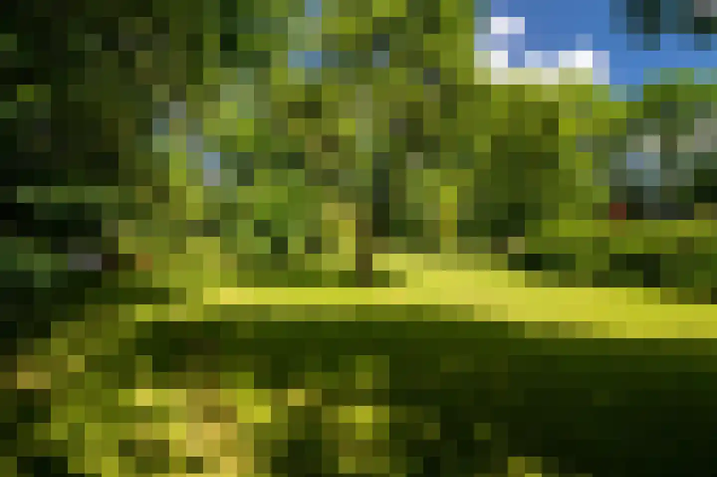 Hearewei 39 Tzummarum thumbnail 12
