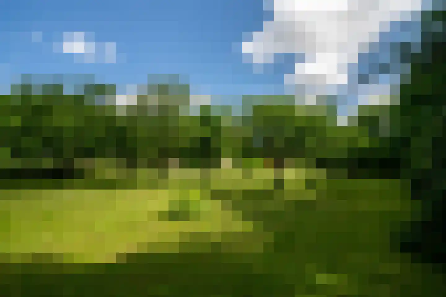 Hearewei 39 Tzummarum thumbnail 13