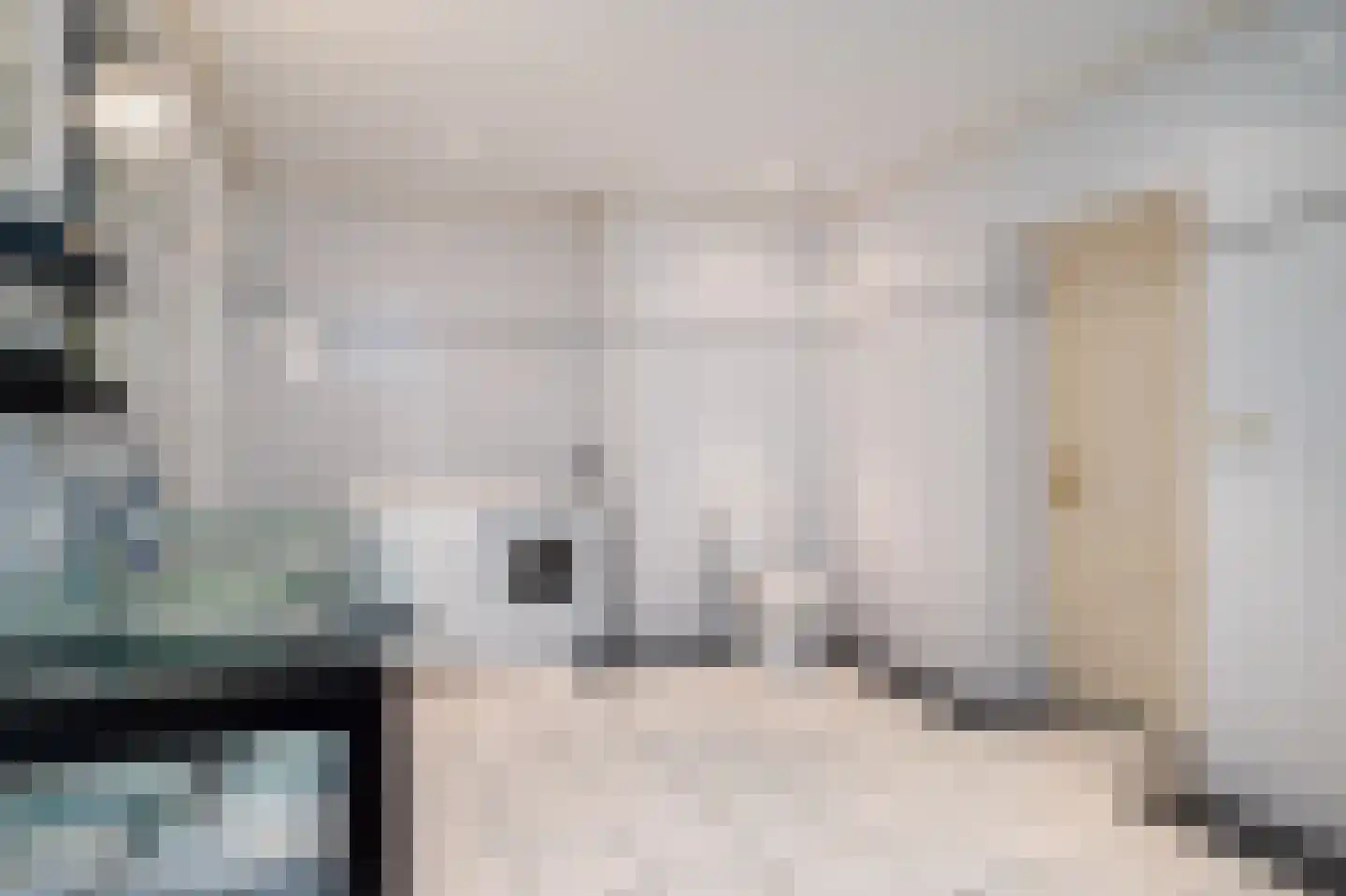 Hearewei 39 Tzummarum thumbnail 28