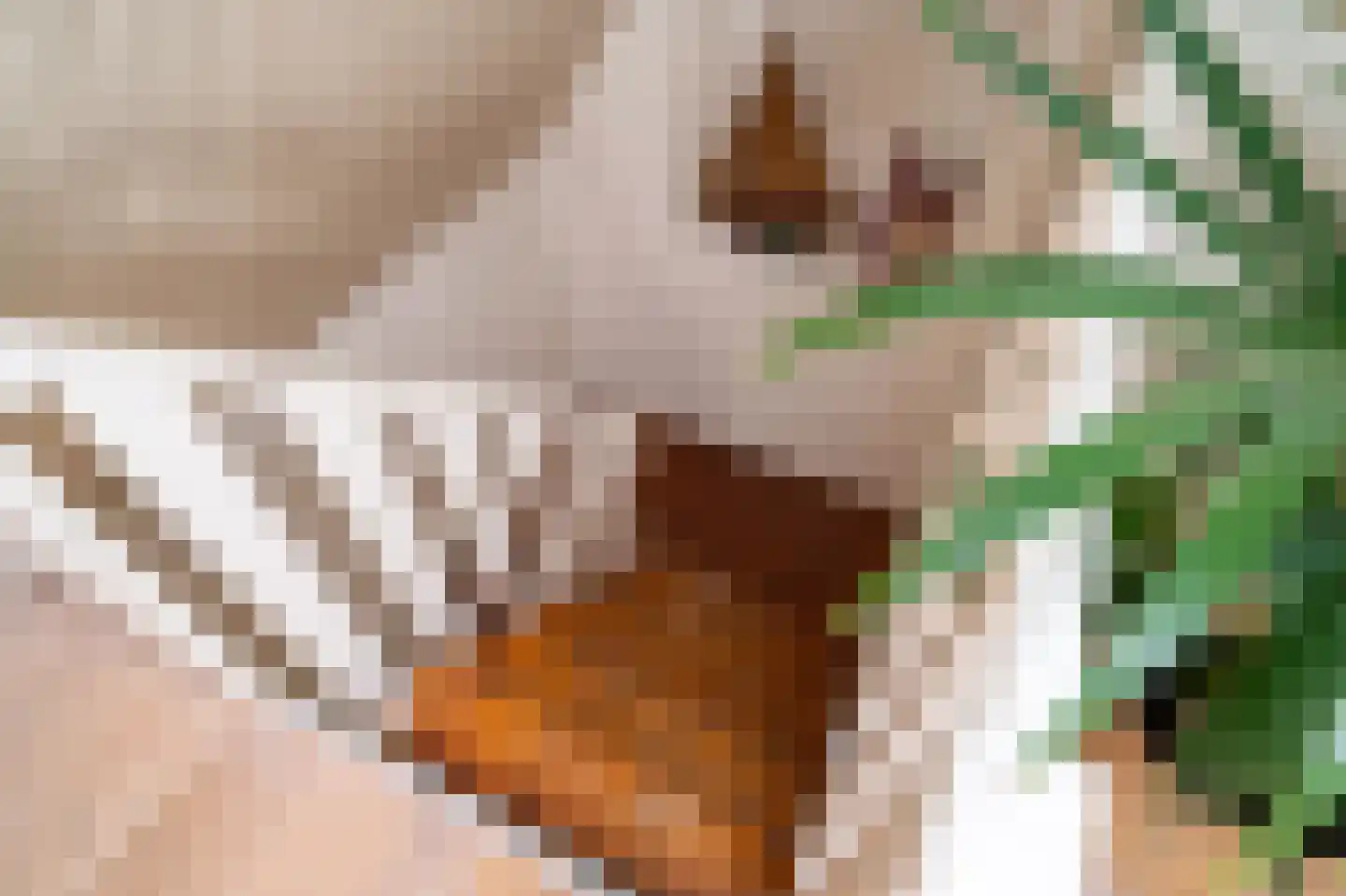 Hearewei 39 Tzummarum thumbnail 30