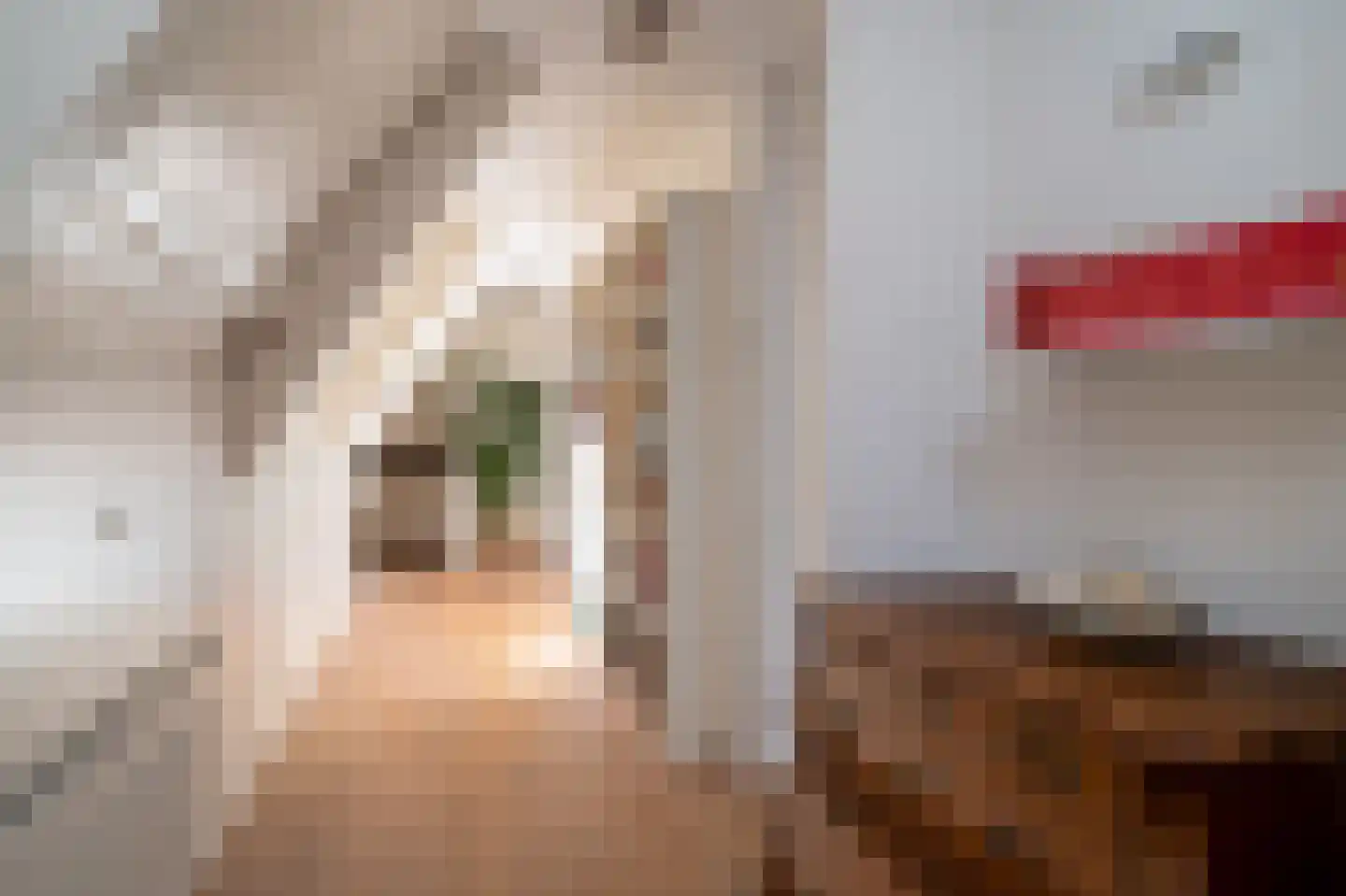 Hearewei 39 Tzummarum thumbnail 34