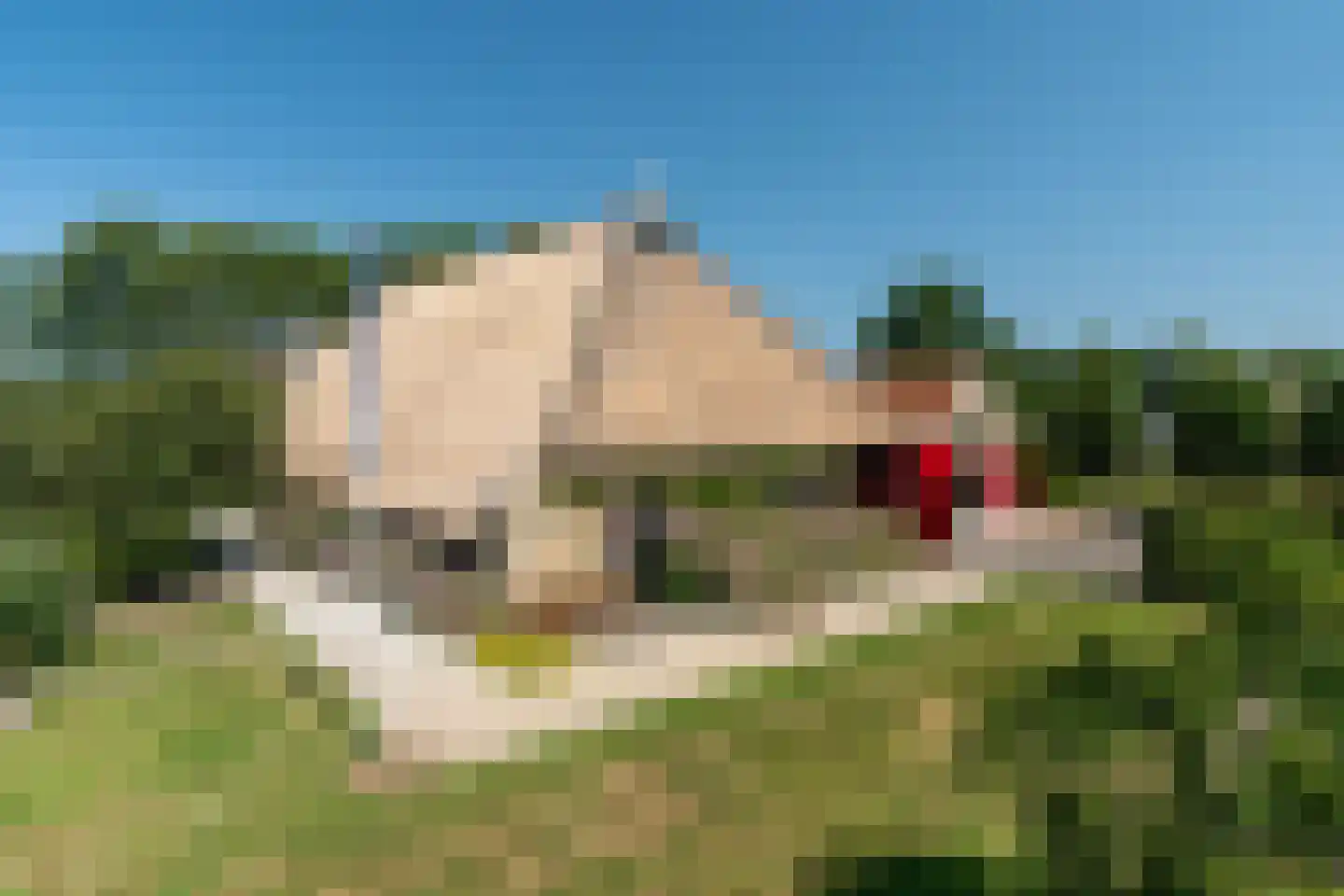 Hearewei 39 Tzummarum thumbnail 4