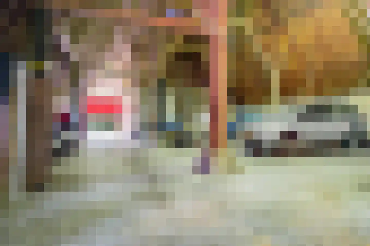 Hearewei 39 Tzummarum thumbnail 41